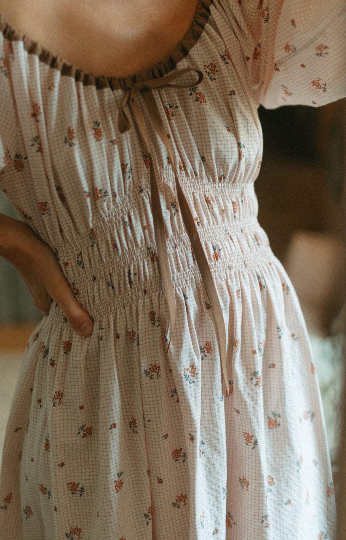 Swallow dress pre-order
