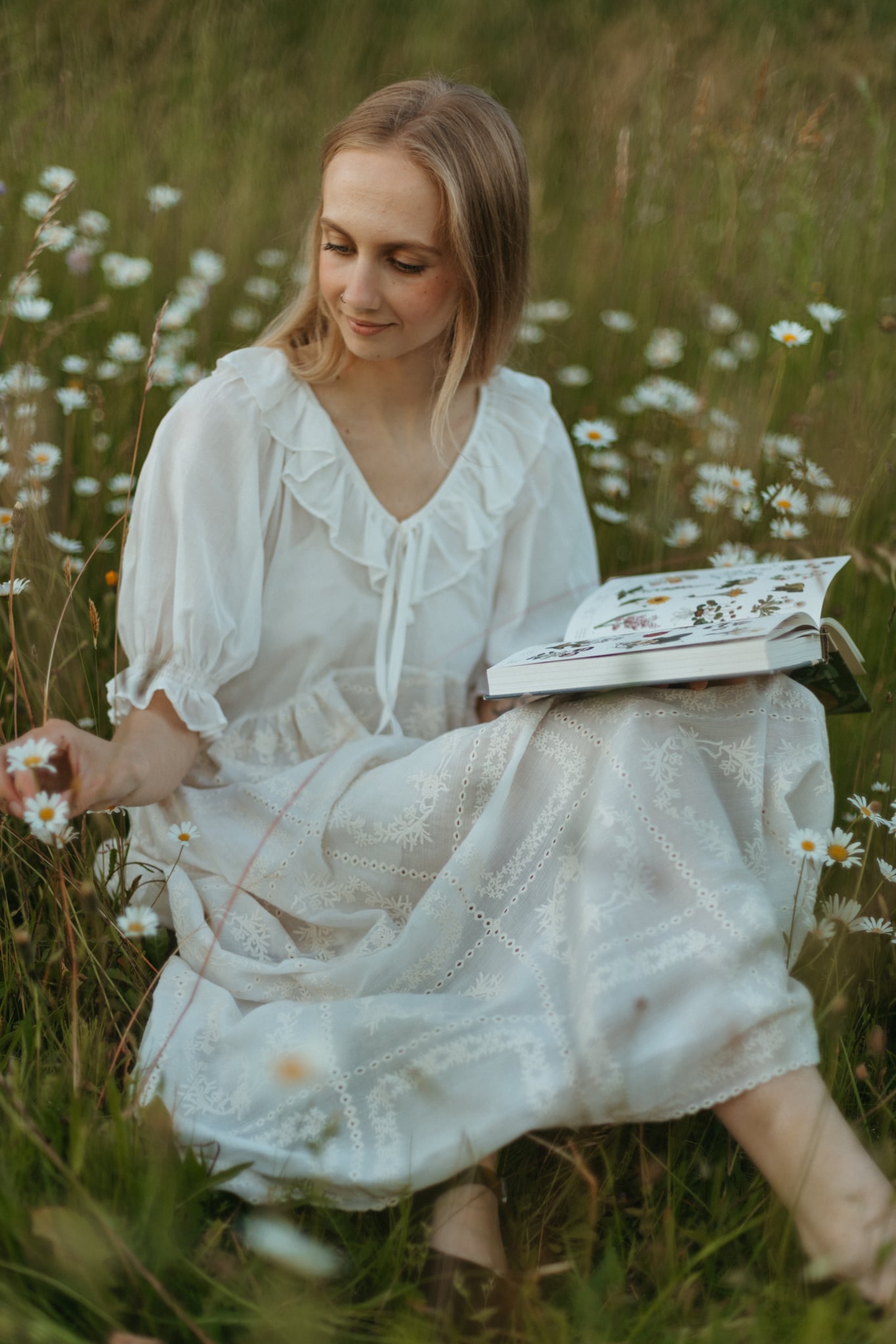 Heritage lace