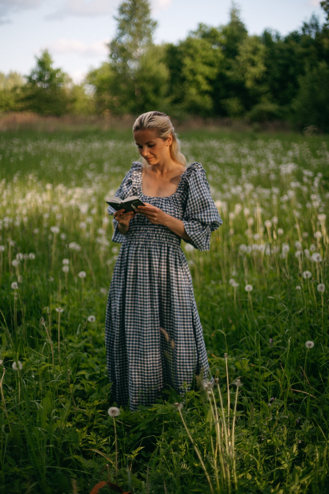 Gratitude dress / checked linen