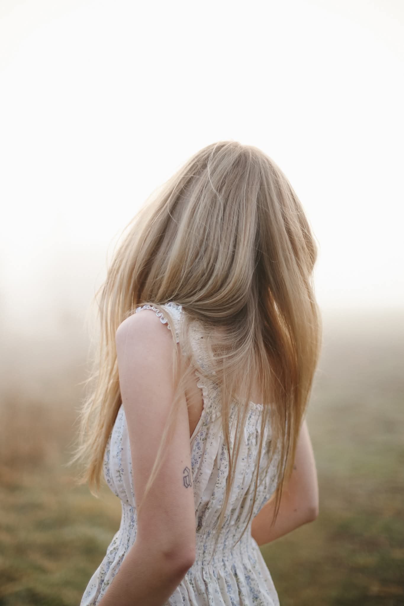 MEADOW
