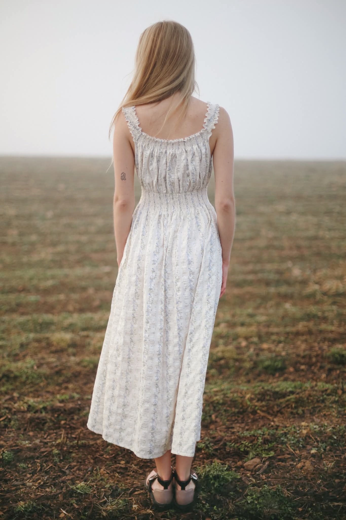 MEADOW