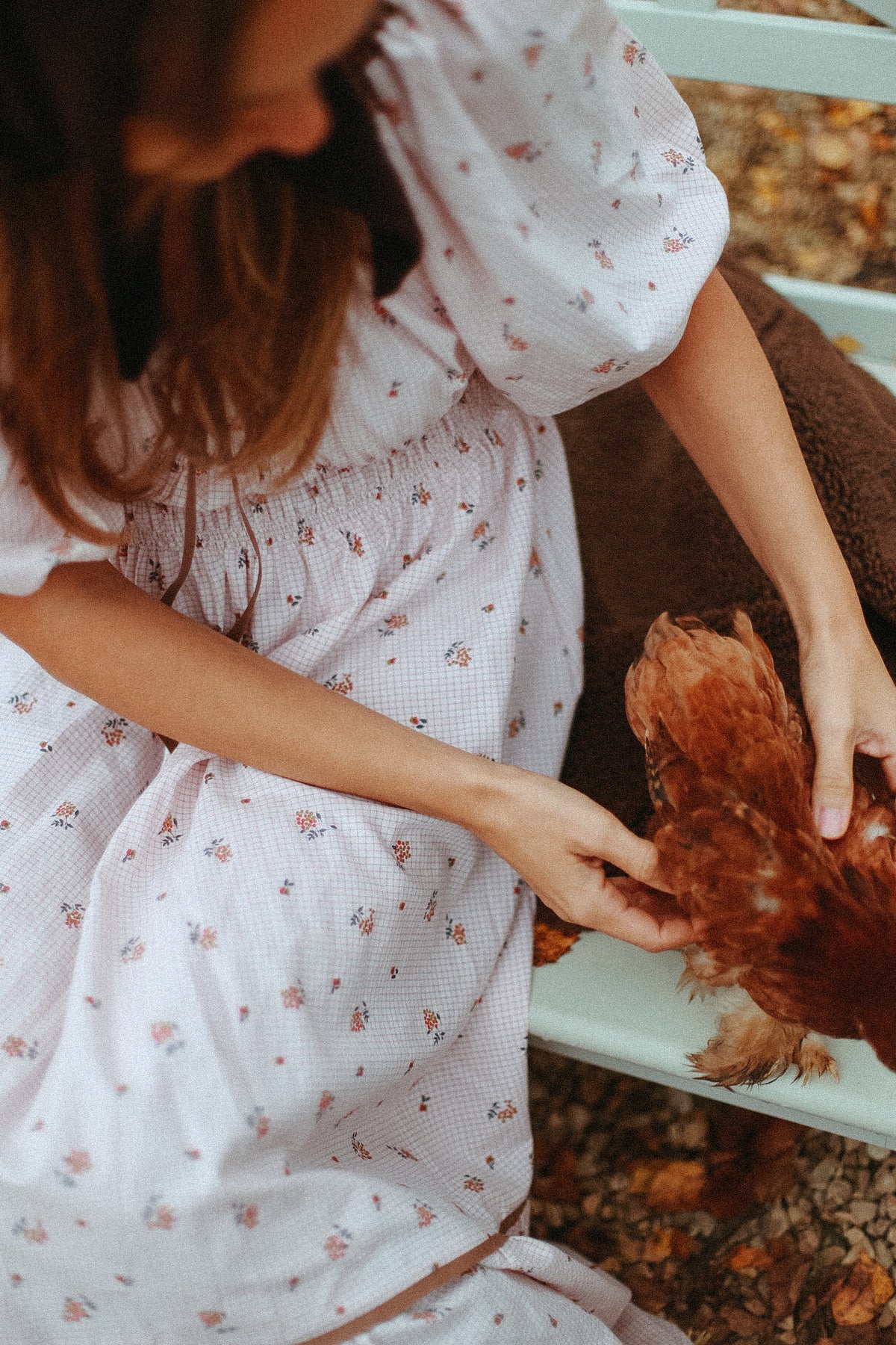 Swallow dress pre-order
